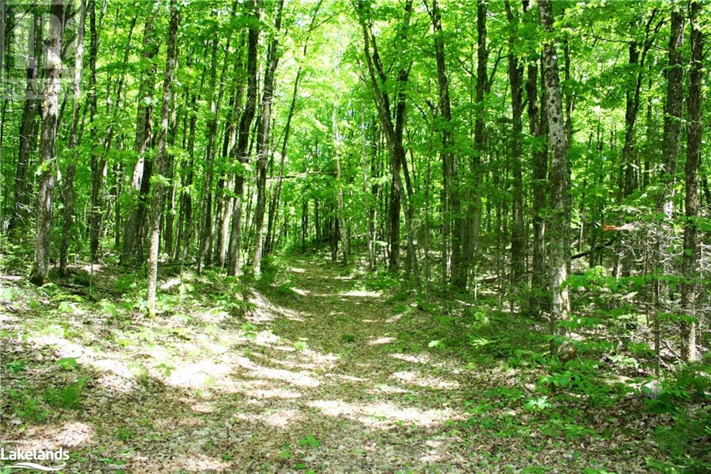 6315 County Road 503, Kinmount, Ontario  K0M 2A0 - Photo 39 - 40587546