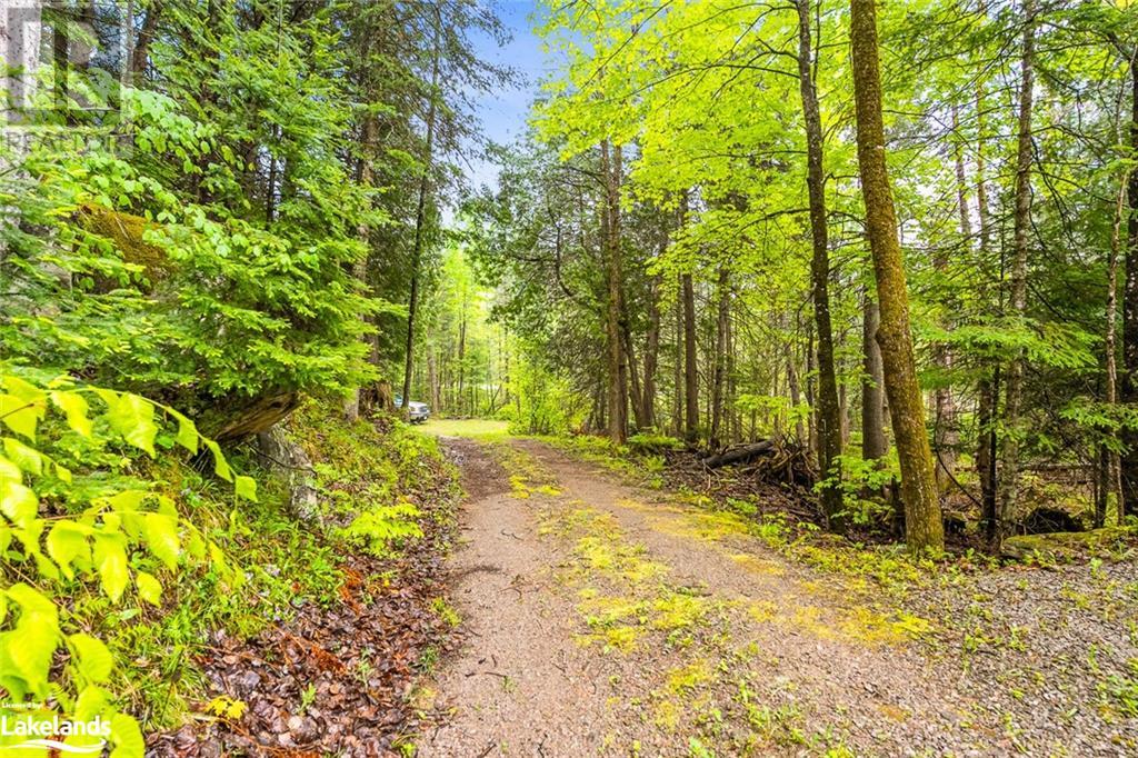 6315 County Road 503, Kinmount, Ontario  K0M 2A0 - Photo 46 - 40587546
