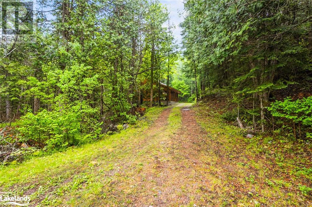6315 County Road 503, Kinmount, Ontario  K0M 2A0 - Photo 47 - 40587546