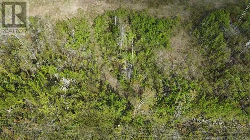 Lot 9 Tobin Road, Elmwood, New Brunswick