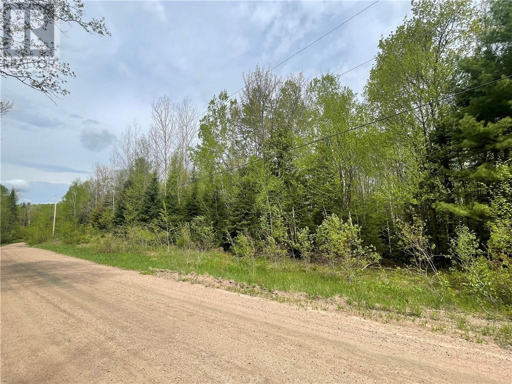 Ryan Pattinson Pembroke Realtor Petawawa Realtor » 002 O’grady