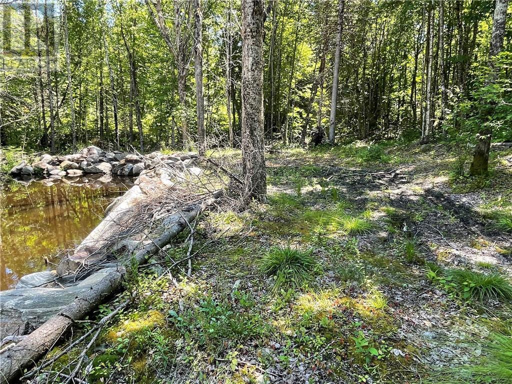 001 O'grady Settlement Road, Killaloe, Ontario  K0J 2A0 - Photo 10 - 1388536