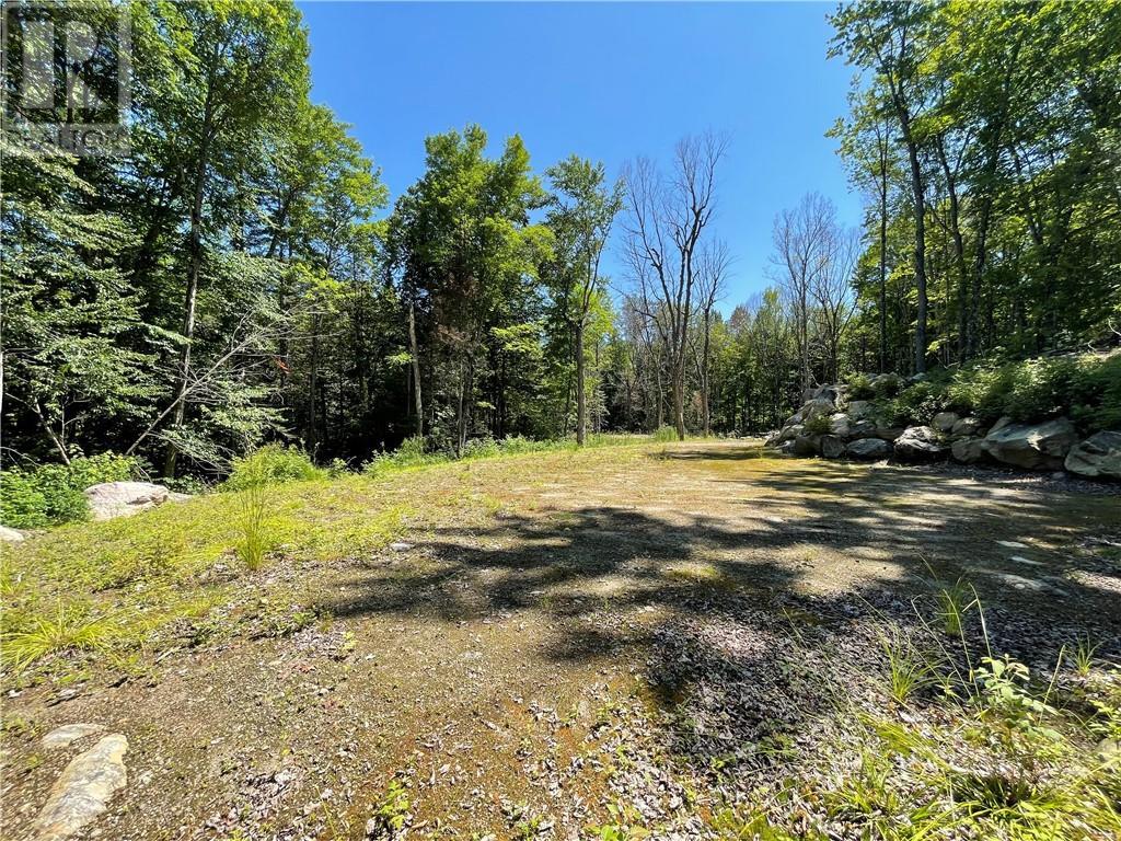 001 O'grady Settlement Road, Killaloe, Ontario  K0J 2A0 - Photo 14 - 1388536