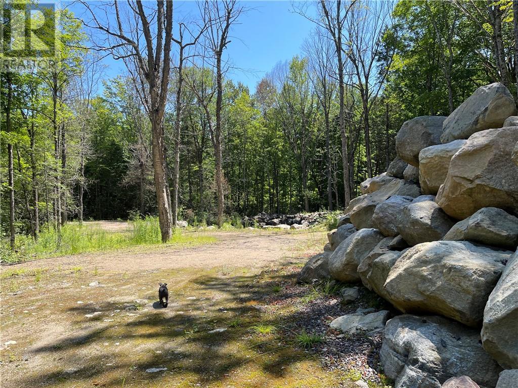 001 O'grady Settlement Road, Killaloe, Ontario  K0J 2A0 - Photo 16 - 1388536