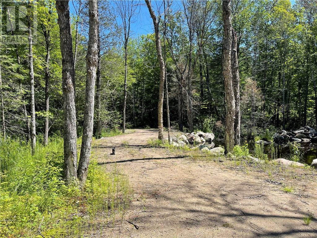 001 O'grady Settlement Road, Killaloe, Ontario  K0J 2A0 - Photo 17 - 1388536