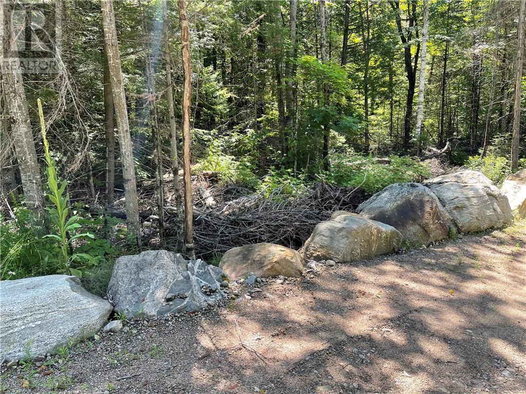 001 O'grady Settlement Road, Killaloe, Ontario  K0J 2A0 - Photo 3 - 1388536