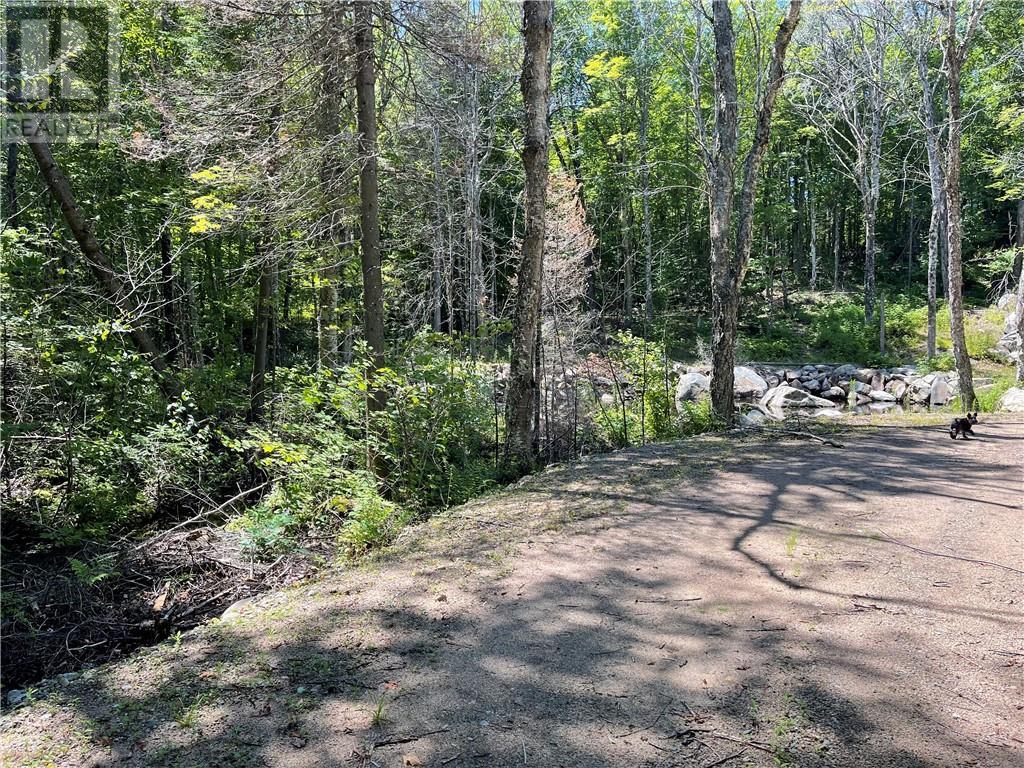 001 O'grady Settlement Road, Killaloe, Ontario  K0J 2A0 - Photo 4 - 1388536