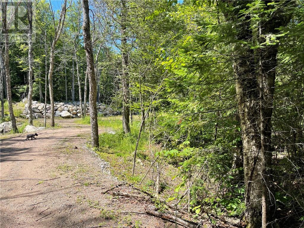 001 O'grady Settlement Road, Killaloe, Ontario  K0J 2A0 - Photo 5 - 1388536