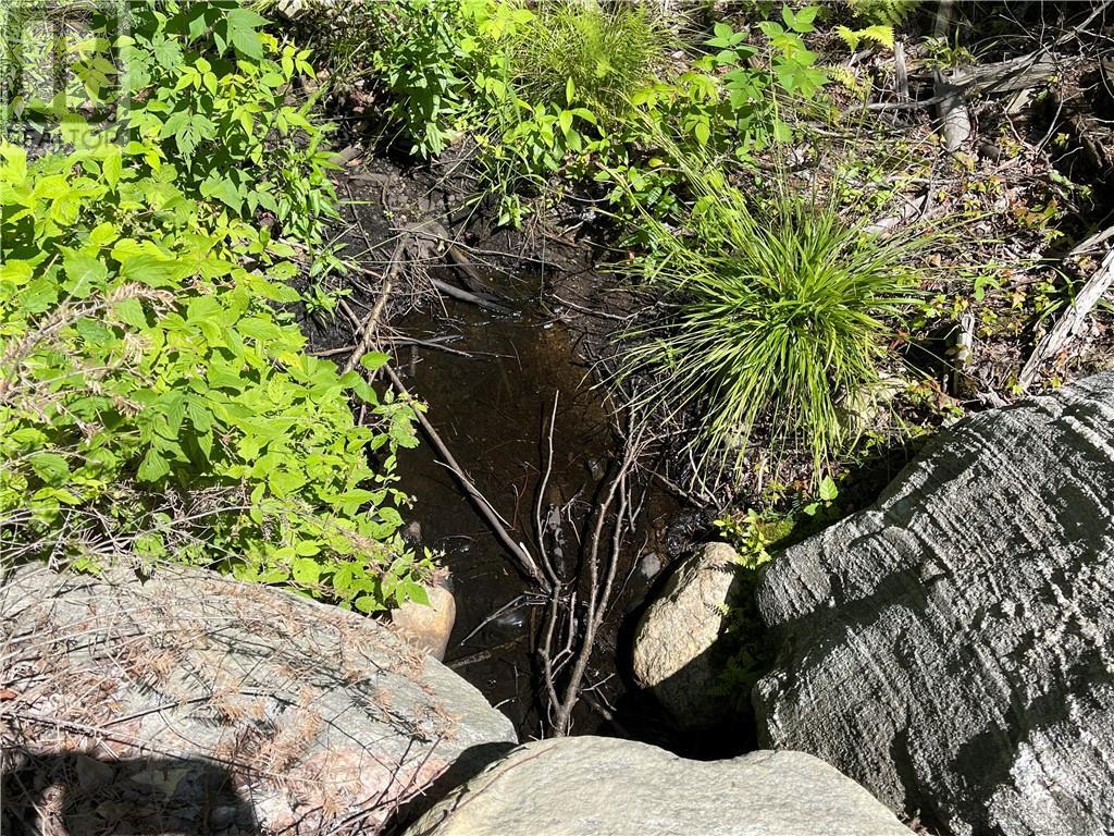 001 O'grady Settlement Road, Killaloe, Ontario  K0J 2A0 - Photo 6 - 1388536