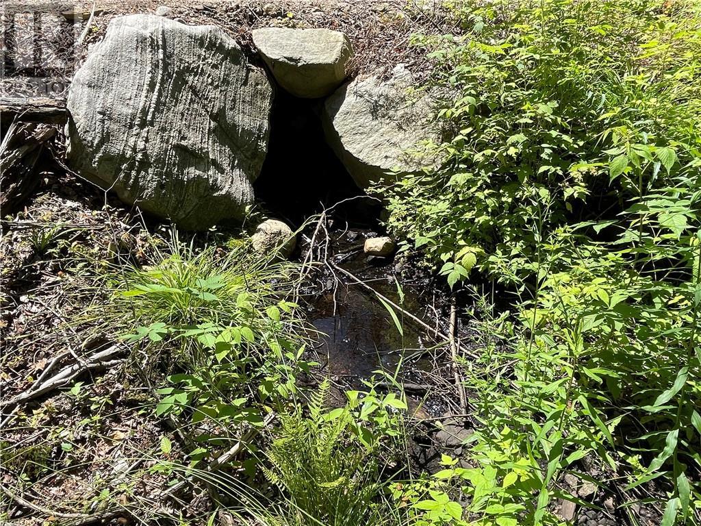 001 O'grady Settlement Road, Killaloe, Ontario  K0J 2A0 - Photo 7 - 1388536