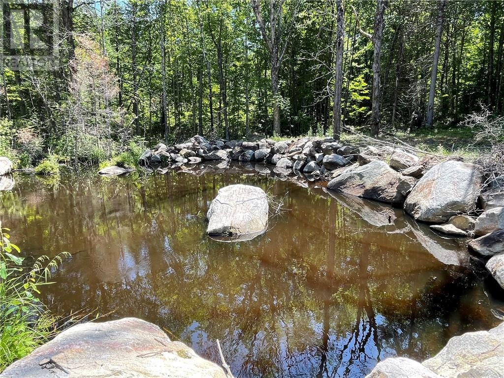 001 O'grady Settlement Road, Killaloe, Ontario  K0J 2A0 - Photo 9 - 1388536