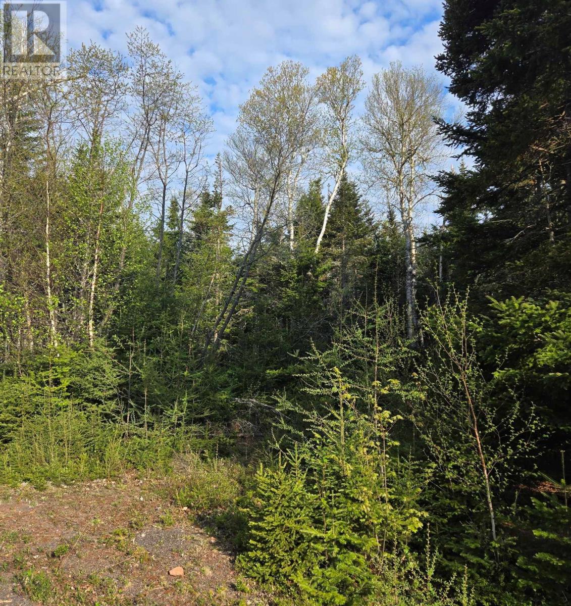 Lot 11 Riverview Drive, Fortune Bridge, Prince Edward Island  C0A 2B0 - Photo 6 - 202411429