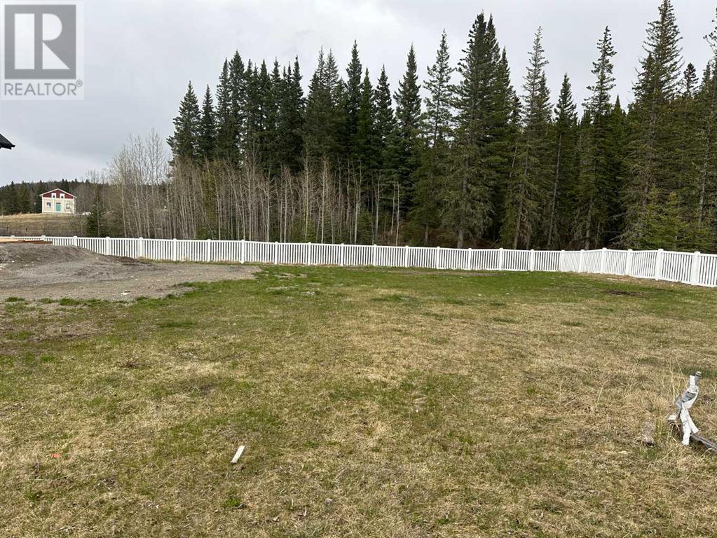 355 Elizabeth Avenue, Nordegg, Alberta  T0M 2H0 - Photo 2 - A2114593