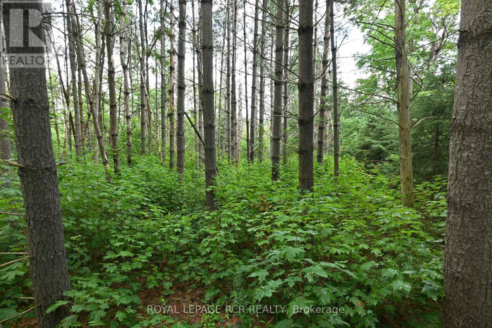 Lot 441 South River Road, Centre Wellington, Ontario  N0B 1S0 - Photo 18 - X8367912