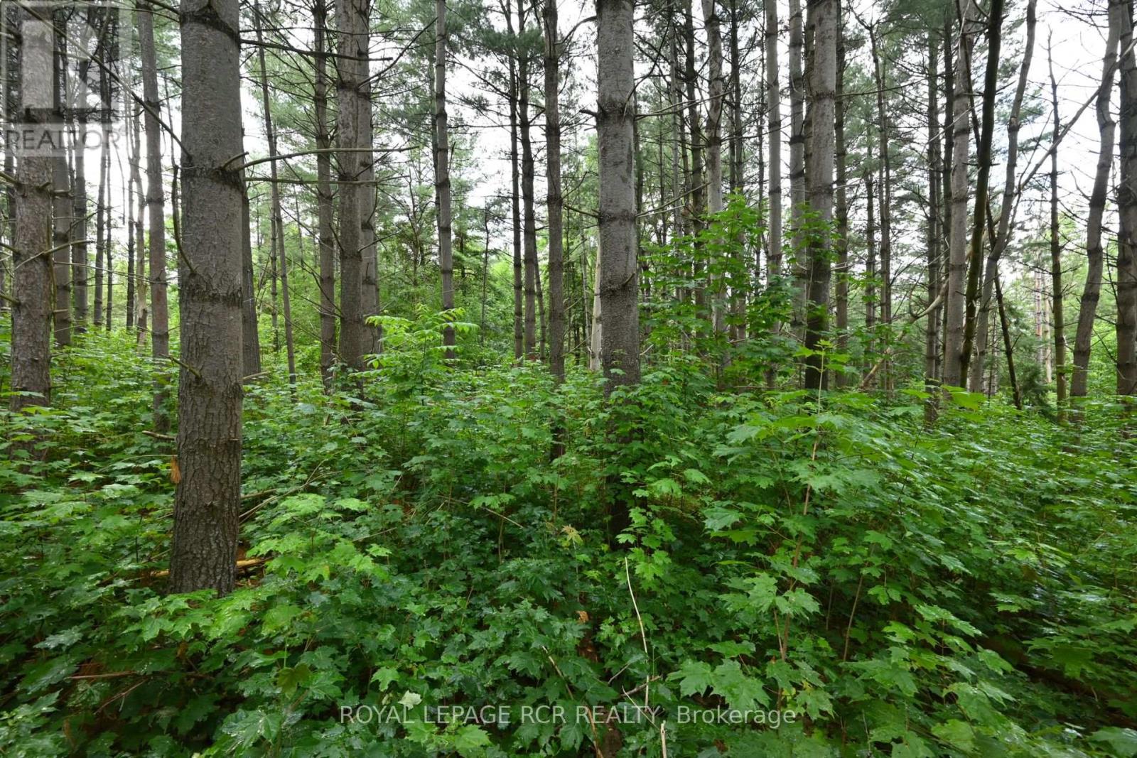 Lot 441 South River Road, Centre Wellington, Ontario  N0B 1S0 - Photo 19 - X8367912