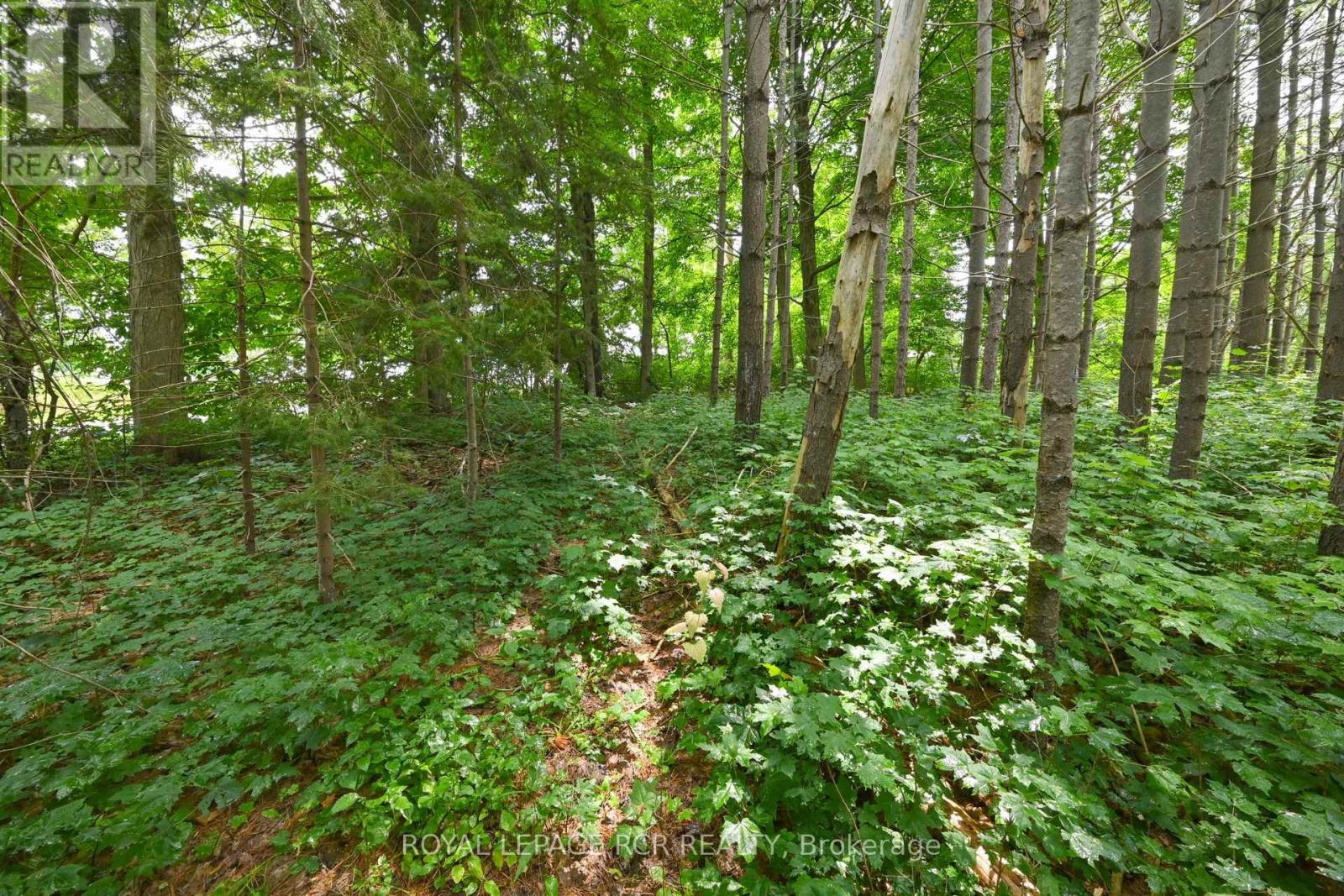 Lot 441 South River Road, Centre Wellington, Ontario  N0B 1S0 - Photo 20 - X8367912