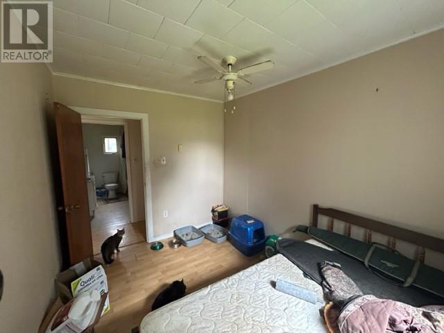 762 Maidstone Road, Maidstone, Newfoundland & Labrador  A0N 1X0 - Photo 26 - 1272536