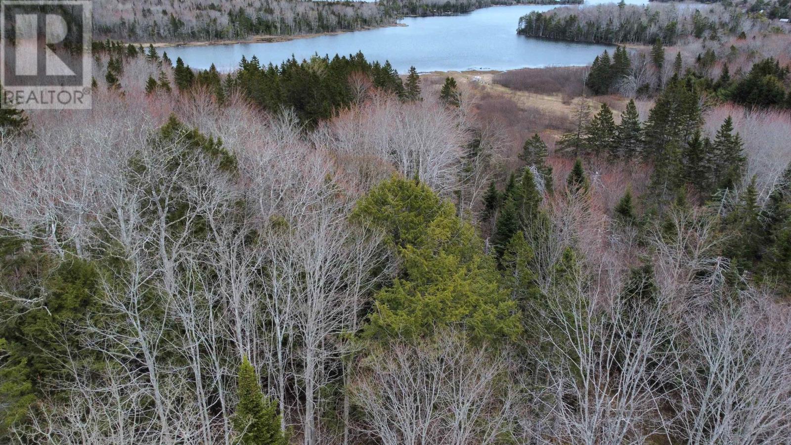 Lot 46 Marble Mountain Road, West Bay Marshes, Nova Scotia  B0E 3K0 - Photo 4 - 202411271