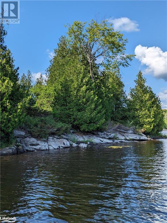 0 Shawanaga Lake, Whitestone, Ontario  P0A 1G0 - Photo 10 - 40594782