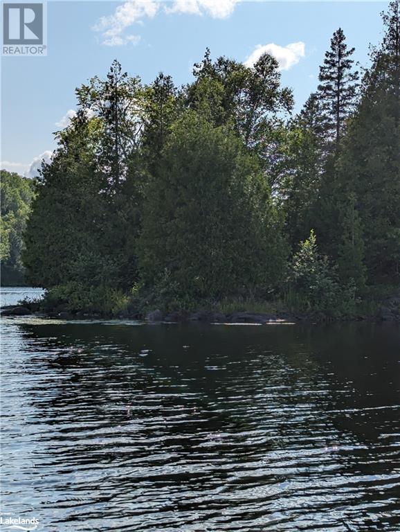 0 Shawanaga Lake, Whitestone, Ontario  P0A 1G0 - Photo 12 - 40594782