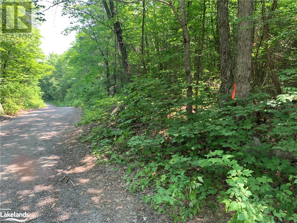 0 Shawanaga Lake Road, Whitestone, Ontario  P0A 1G0 - Photo 4 - 40594928