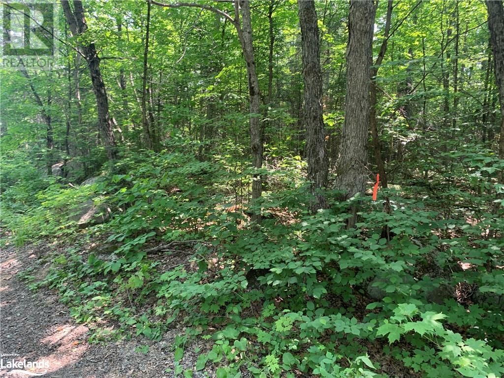 0 Shawanaga Lake Road, Whitestone, Ontario  P0A 1G0 - Photo 3 - 40594928