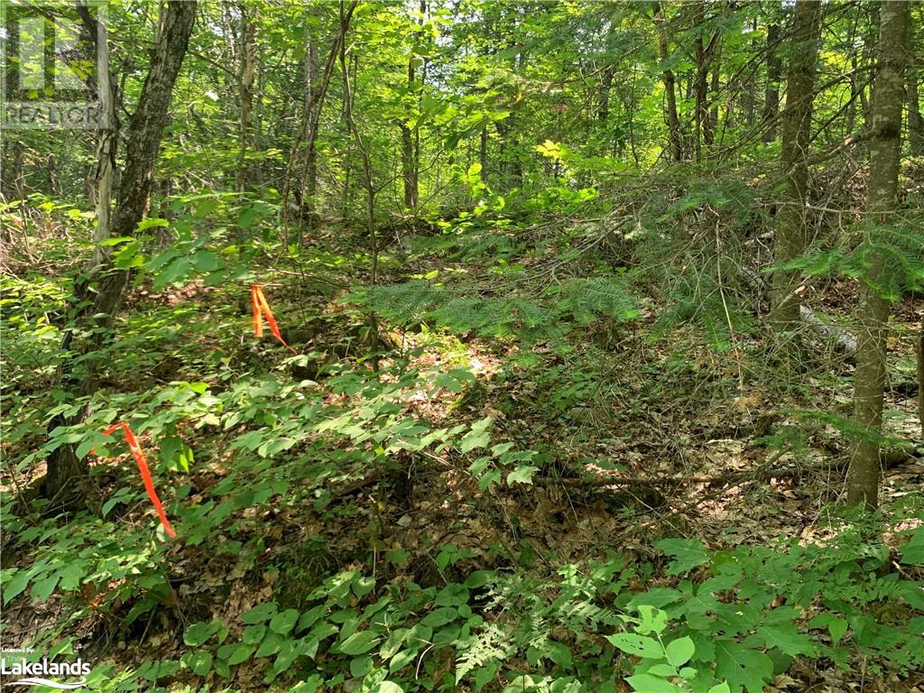 0 Shawanaga Lake Road, Whitestone, Ontario  P0A 1G0 - Photo 10 - 40594928