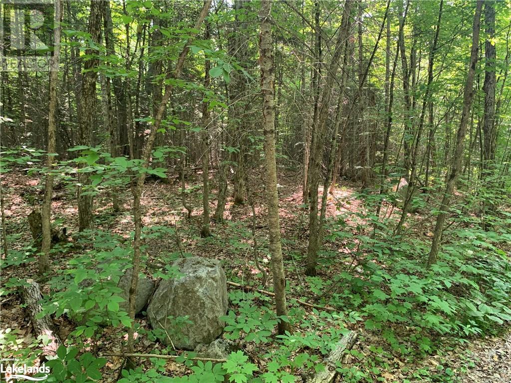 0 Shawanaga Lake Road, Whitestone, Ontario  P0A 1G0 - Photo 6 - 40594928
