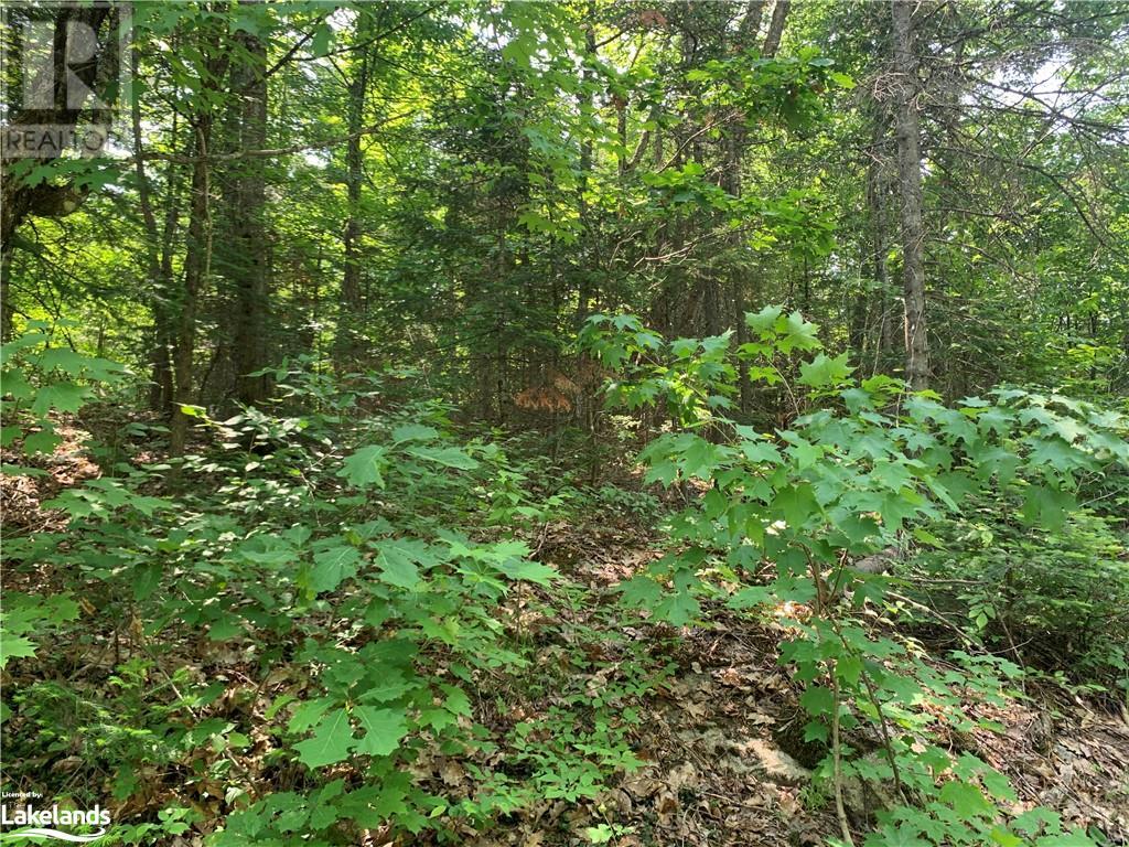 0 Shawanaga Lake Road, Whitestone, Ontario  P0A 1G0 - Photo 11 - 40594928