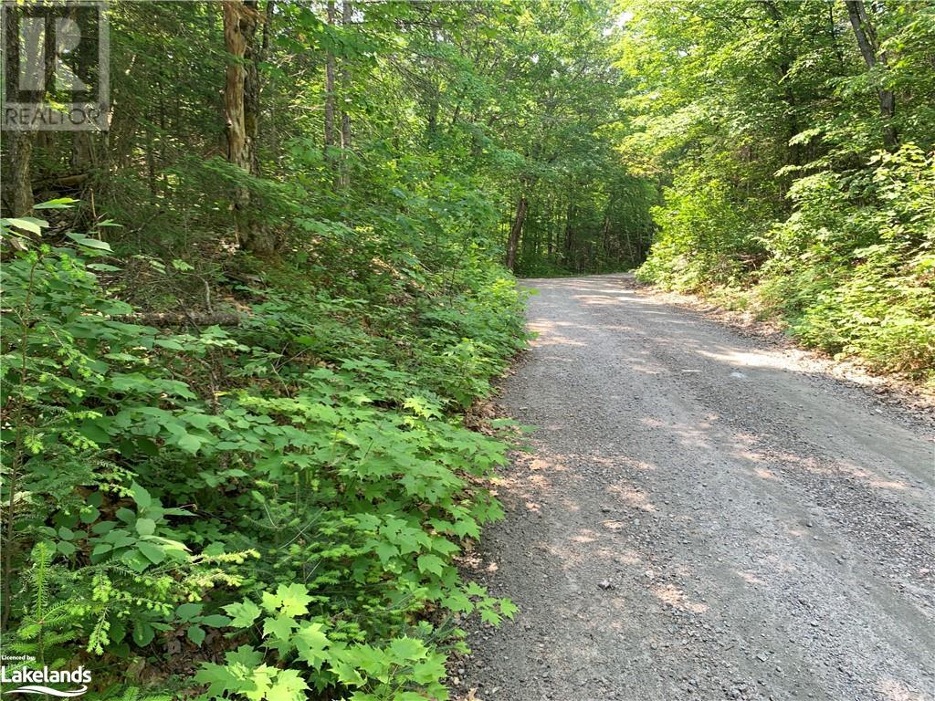 0 Shawanaga Lake Road, Whitestone, Ontario  P0A 1G0 - Photo 8 - 40594928