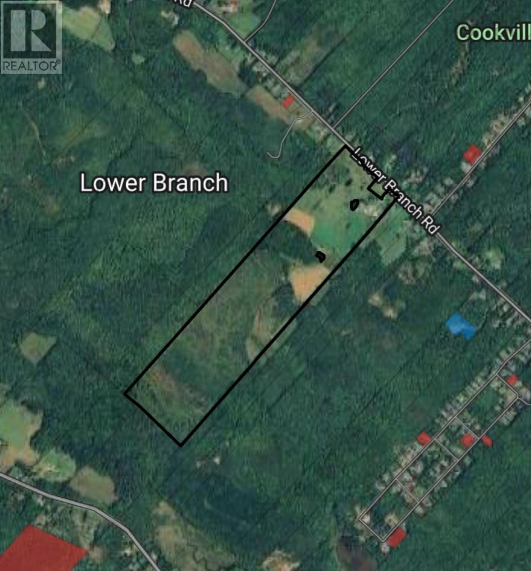 307 Lower Branch Road, Lower Branch, Nova Scotia  B4V 4M5 - Photo 24 - 202322833