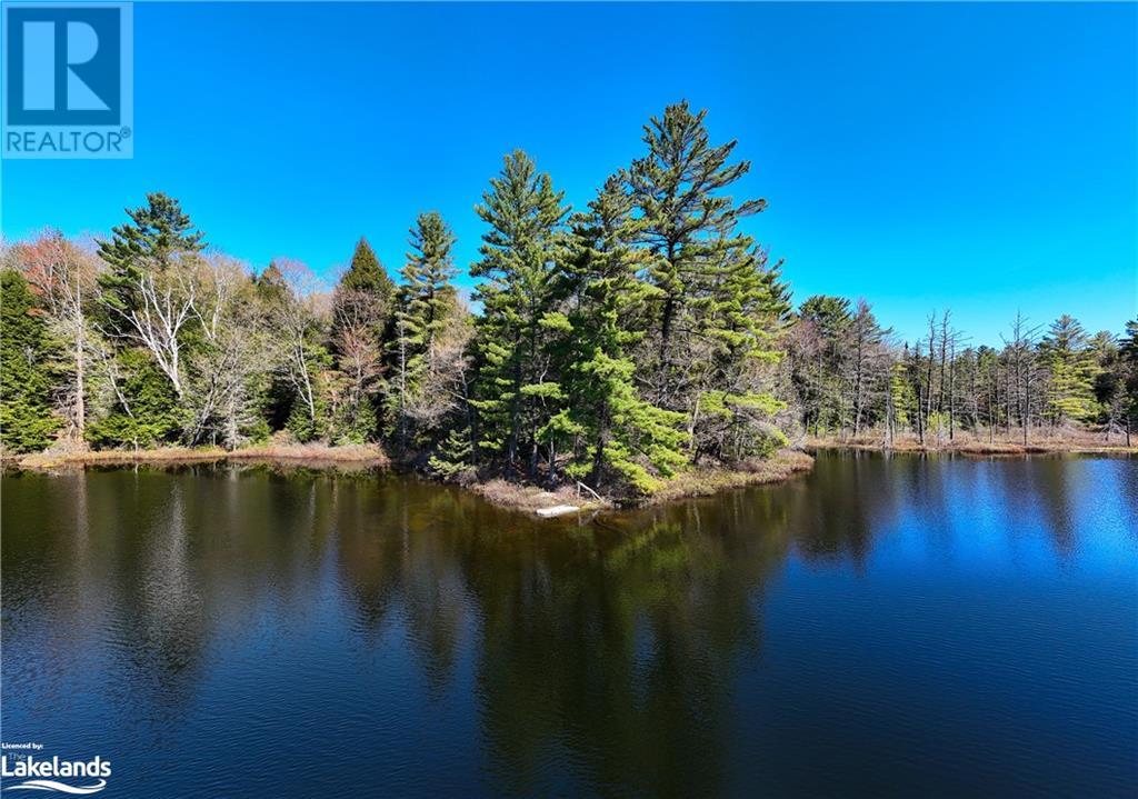 1180 Heney Lake Road, Baysville, Ontario  P0B 1M0 - Photo 7 - 40584594