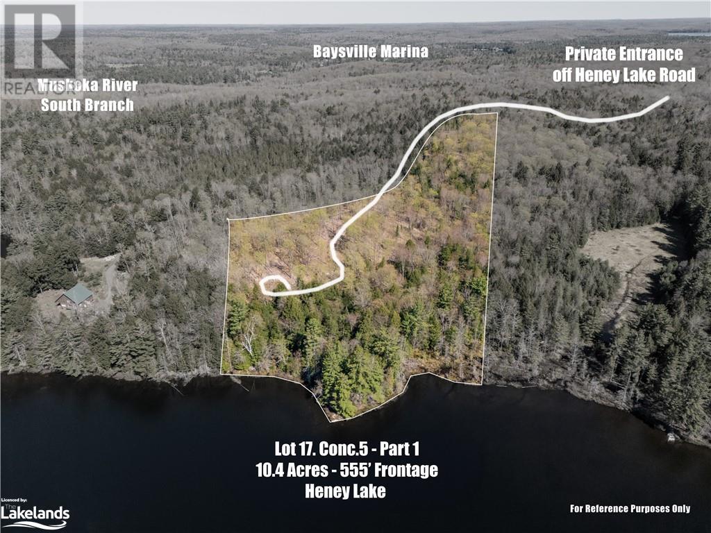 1180 Heney Lake Road, Baysville, Ontario  P0B 1M0 - Photo 3 - 40584594