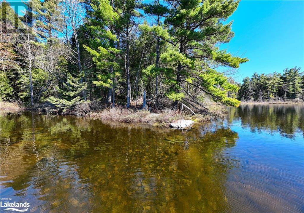 1180 Heney Lake Road, Baysville, Ontario  P0B 1M0 - Photo 6 - 40584594