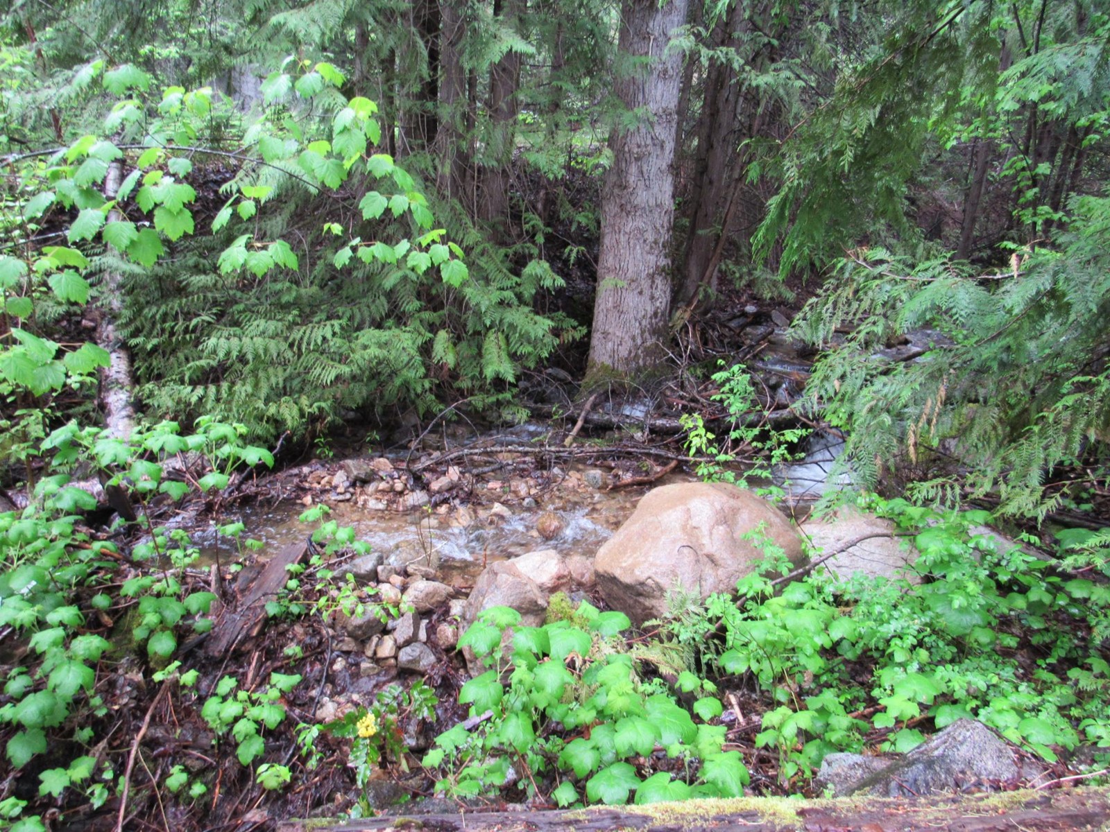 Lot A Upper Gibson Road, Pass Creek, British Columbia  V1N 4S9 - Photo 5 - 2476998