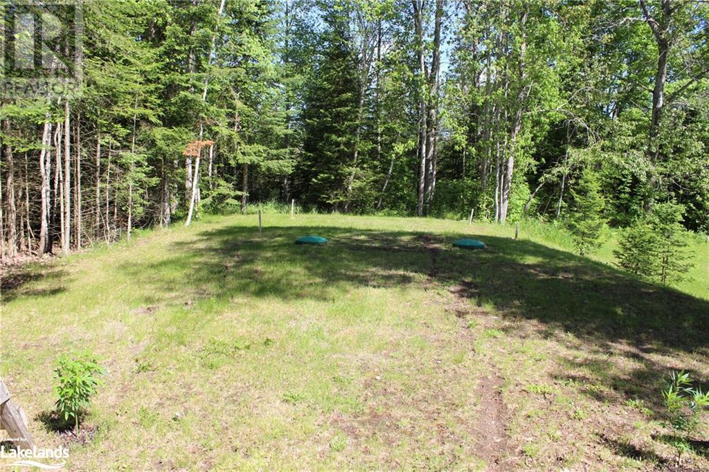 15661 Highway 35, Carnarvon, Ontario  K0M 1J2 - Photo 34 - 40594670