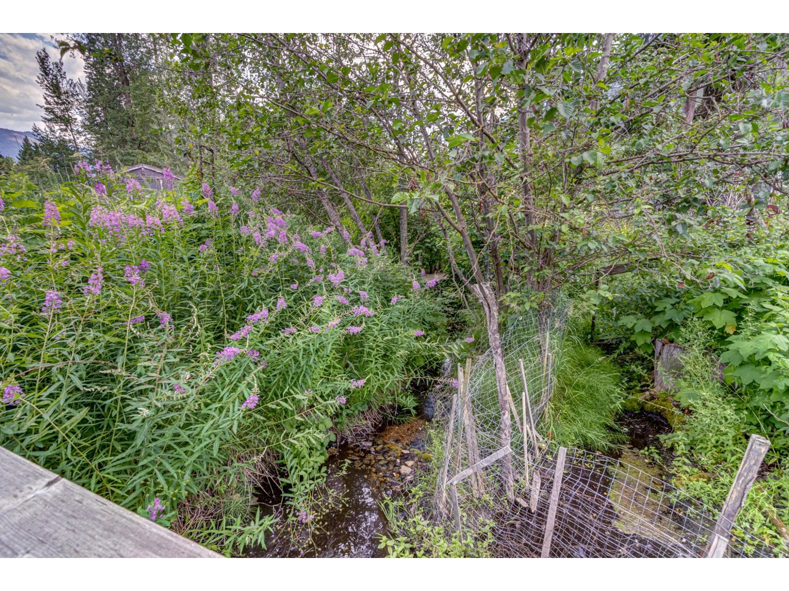 1191 Matevic Road, Sparwood, British Columbia  V0B 2G1 - Photo 15 - 2477200