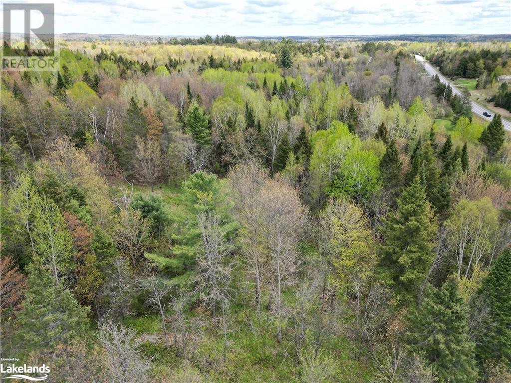 11170 522 Highway, Port Loring, Ontario  P0H 1Y0 - Photo 6 - 40587707