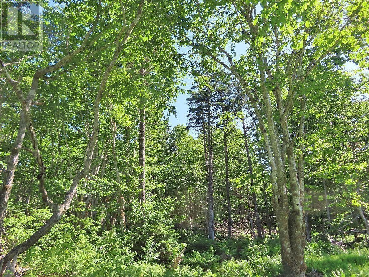 Lot 4 Loch Lomond Road, Big Pond, Nova Scotia  B1J 1R4 - Photo 11 - 202411604