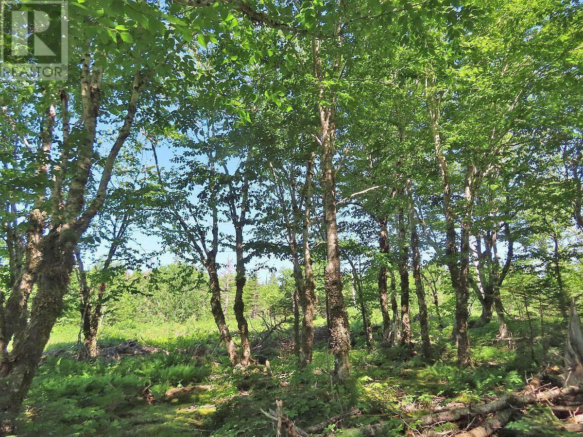 Lot 4 Loch Lomond Road, Big Pond, Nova Scotia  B1J 1R4 - Photo 13 - 202411604