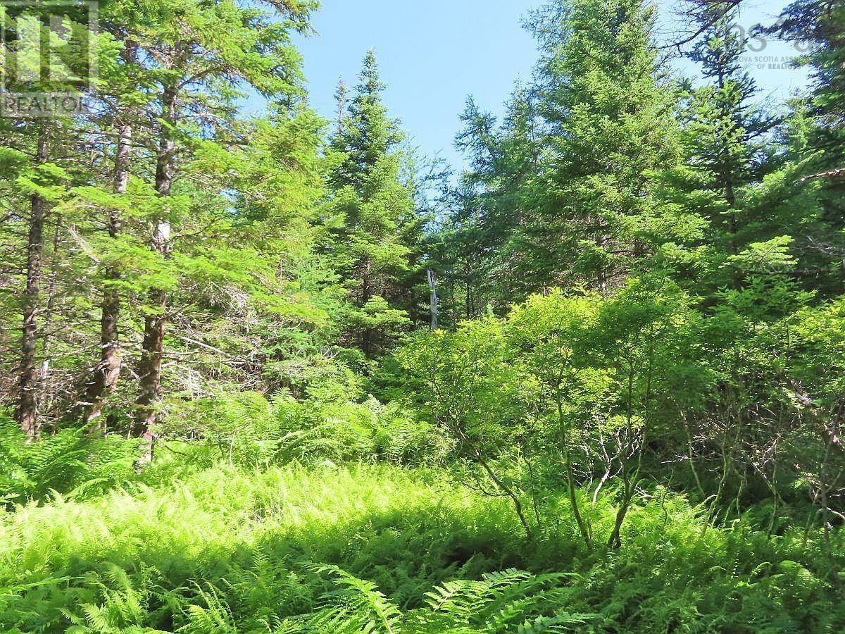 Lot 4 Loch Lomond Road, Big Pond, Nova Scotia  B1J 1R4 - Photo 16 - 202411604