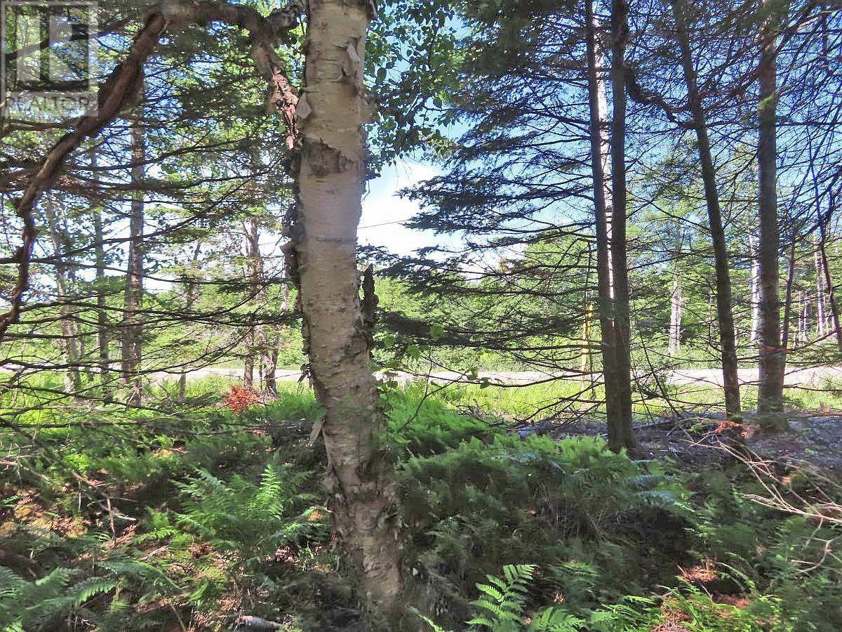 Lot 4 Loch Lomond Road, Big Pond, Nova Scotia  B1J 1R4 - Photo 19 - 202411604