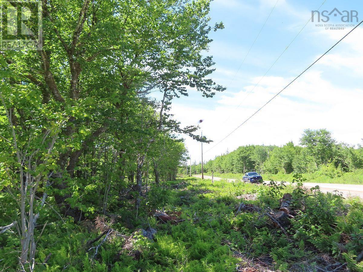 Lot 4 Loch Lomond Road, Big Pond, Nova Scotia  B1J 1R4 - Photo 20 - 202411604