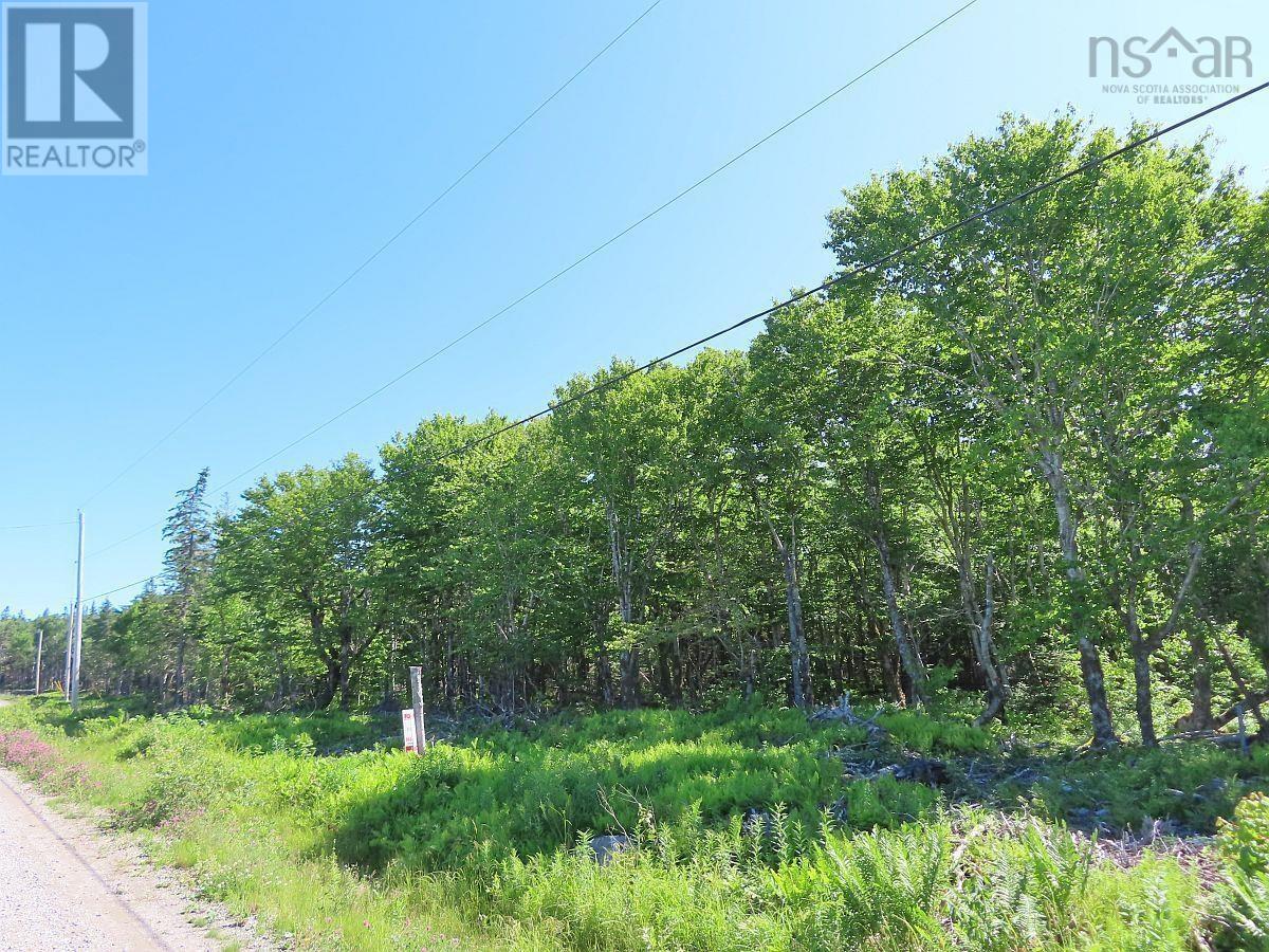 Lot 4 Loch Lomond Road, Big Pond, Nova Scotia  B1J 1R4 - Photo 5 - 202411604