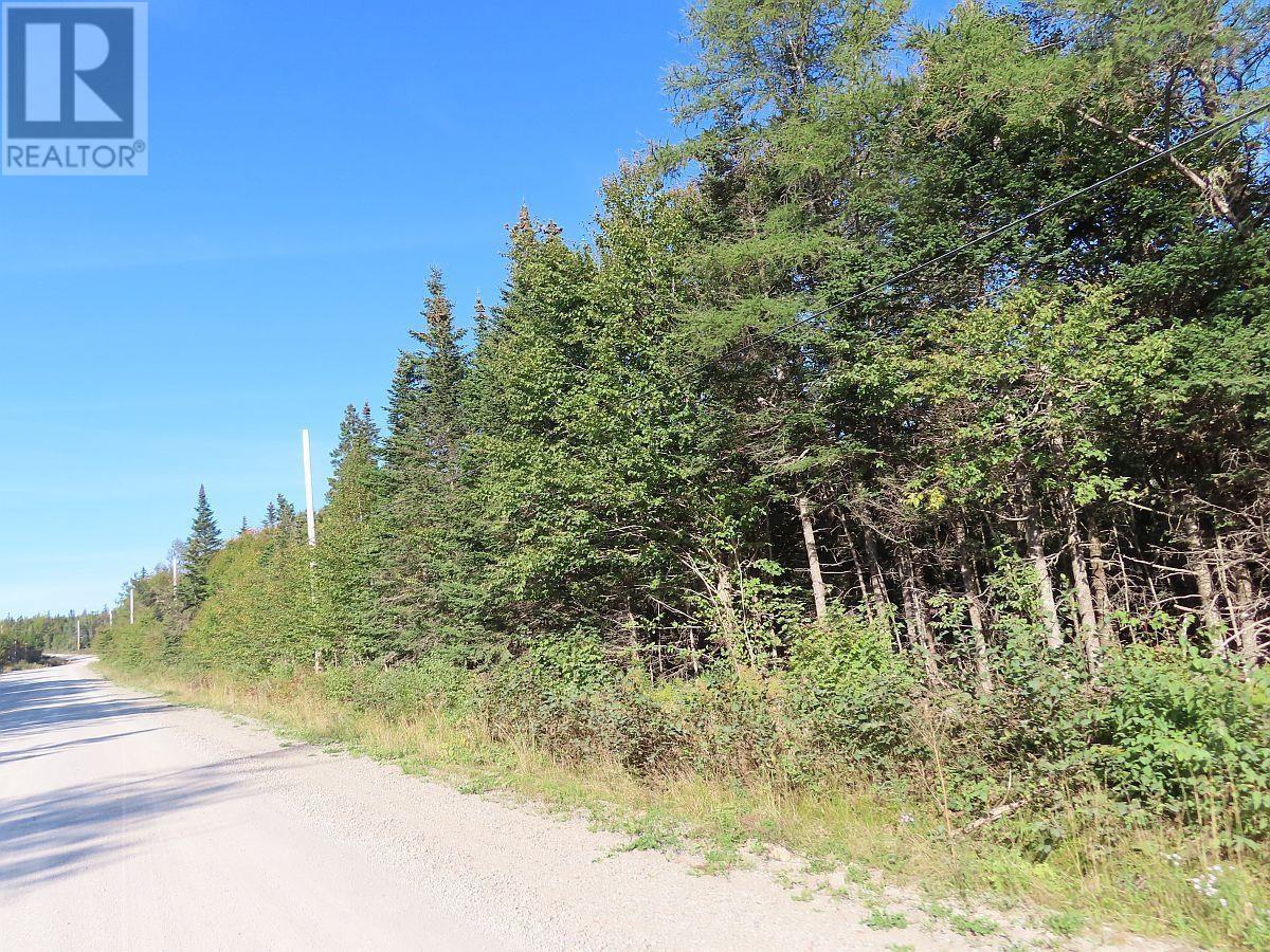 Lot 10 Loch Lomond Road, Big Pond, Nova Scotia  B1J 1R4 - Photo 14 - 202411605