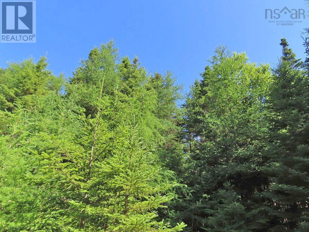 Lot 10 Loch Lomond Road, Big Pond, Nova Scotia  B1J 1R4 - Photo 17 - 202411605
