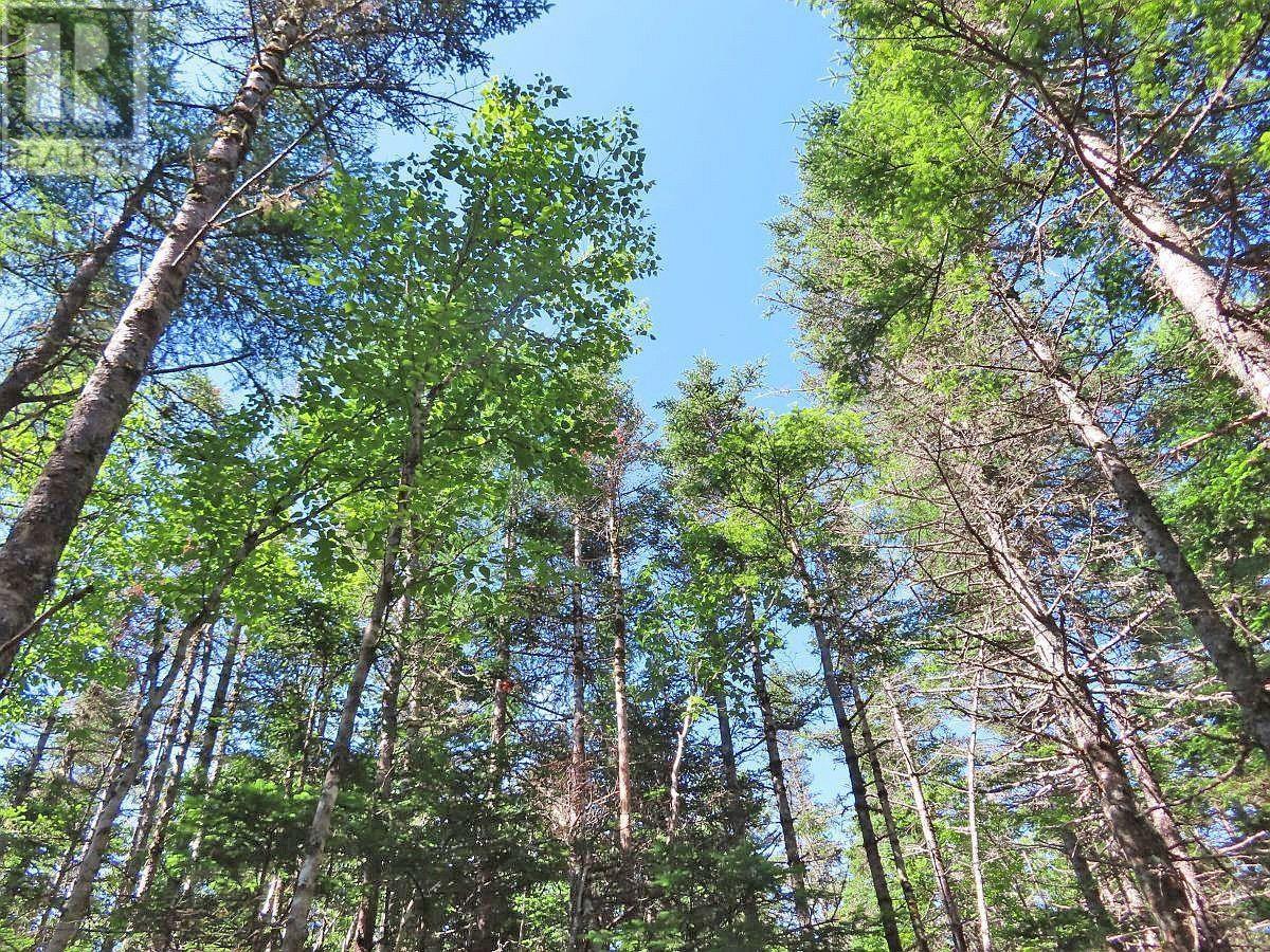 Lot 10 Loch Lomond Road, Big Pond, Nova Scotia  B1J 1R4 - Photo 18 - 202411605