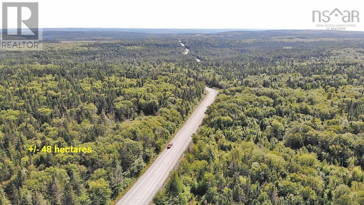 Lot 10 Loch Lomond Road, Big Pond, Nova Scotia  B1J 1R4 - Photo 25 - 202411605