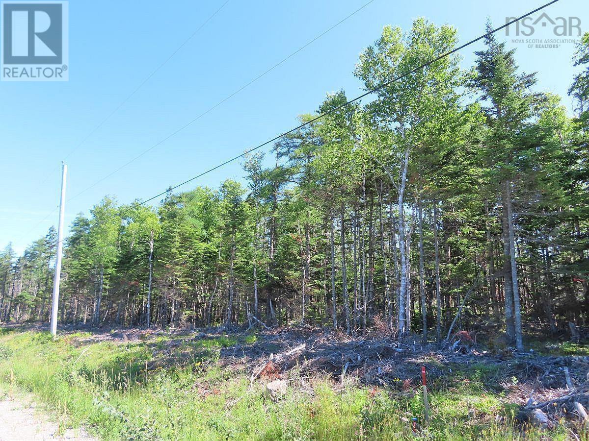 Lot 10 Loch Lomond Road, Big Pond, Nova Scotia  B1J 1R4 - Photo 7 - 202411605