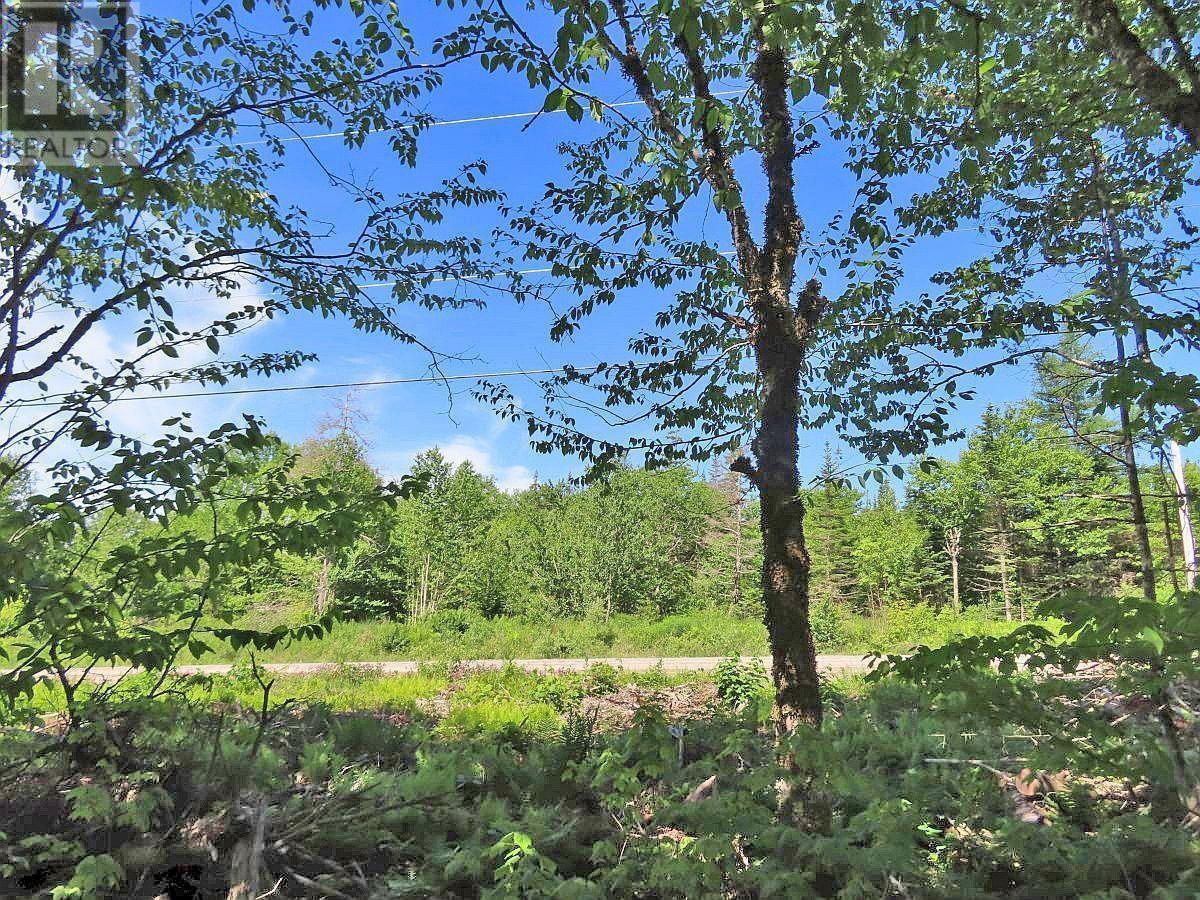 Lot 10 Loch Lomond Road, Big Pond, Nova Scotia  B1J 1R4 - Photo 8 - 202411605